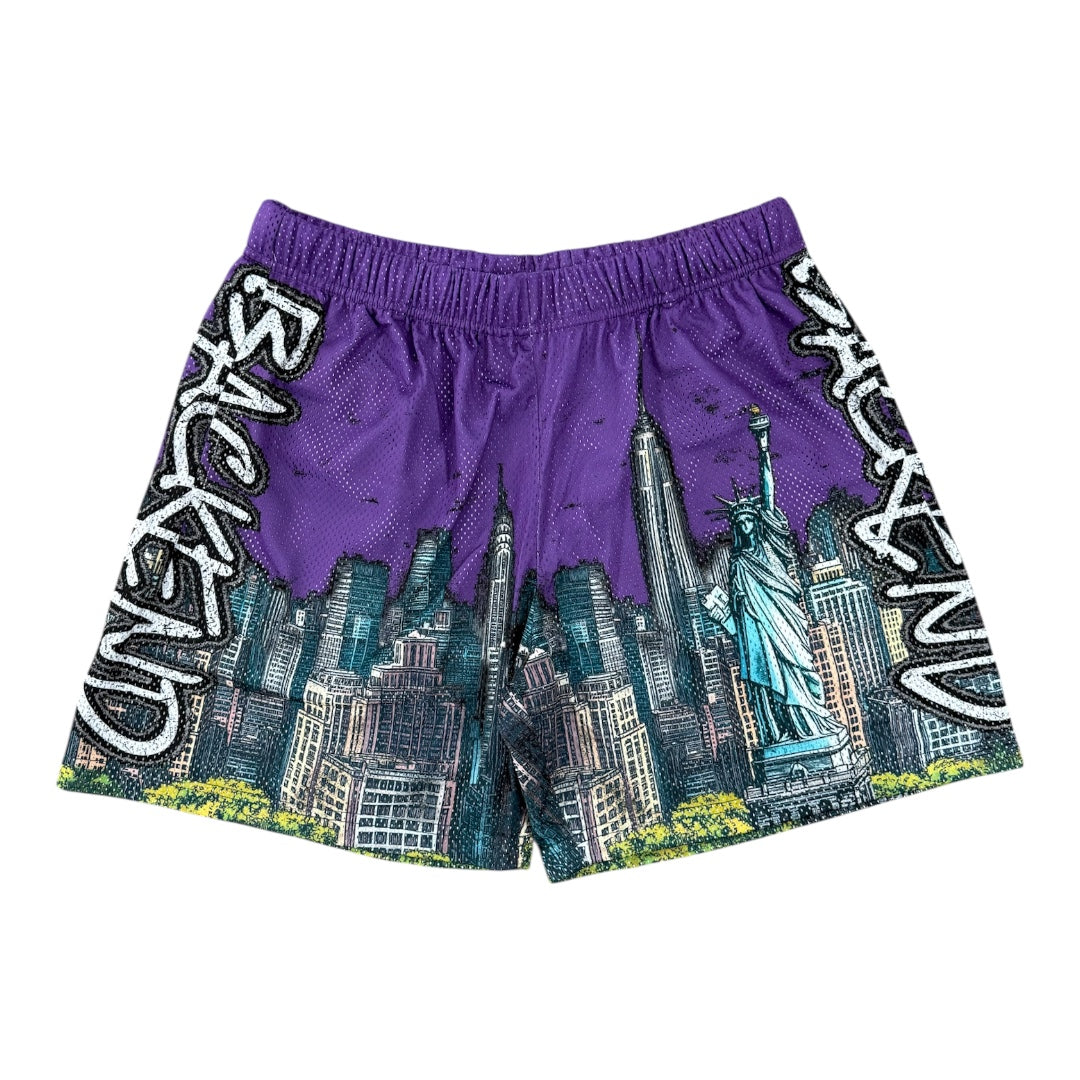 Backend Skyline Shorts Purple